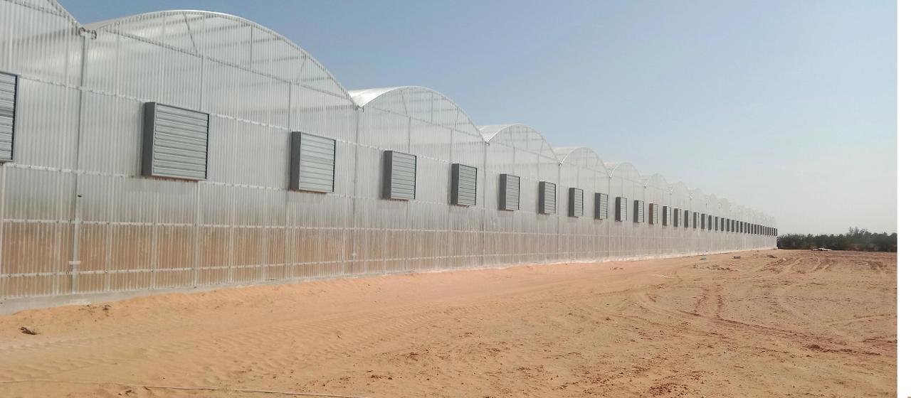 WhatsApp Image 2025-05-28 at 4.25